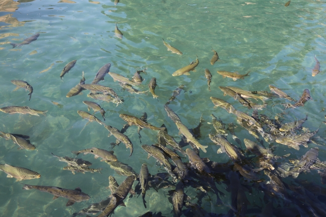 Şanlıurfa'nın "kalbi" yenilendi